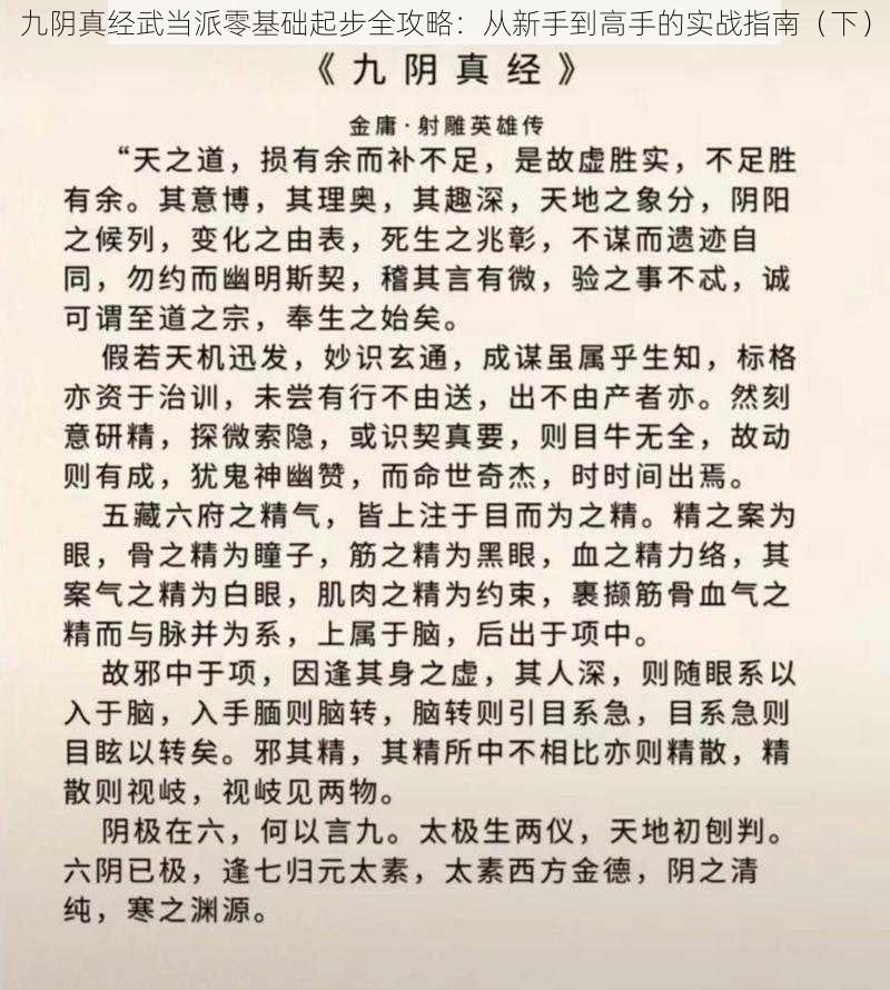 九阴真经武当派零基础起步全攻略：从新手到高手的实战指南（下）