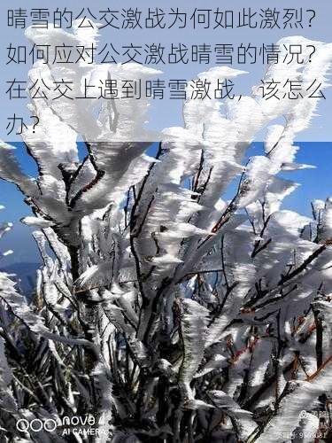 晴雪的公交激战为何如此激烈？如何应对公交激战晴雪的情况？在公交上遇到晴雪激战，该怎么办？