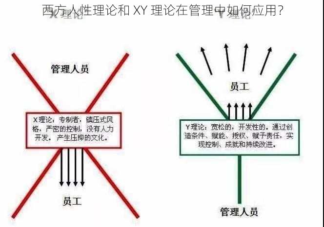 西方人性理论和 XY 理论在管理中如何应用？