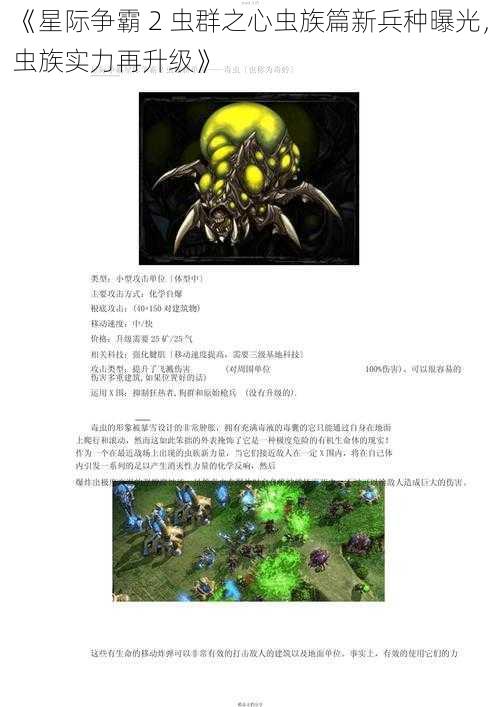 《星际争霸 2 虫群之心虫族篇新兵种曝光，虫族实力再升级》