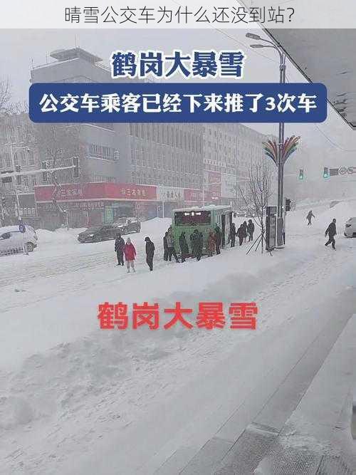 晴雪公交车为什么还没到站？