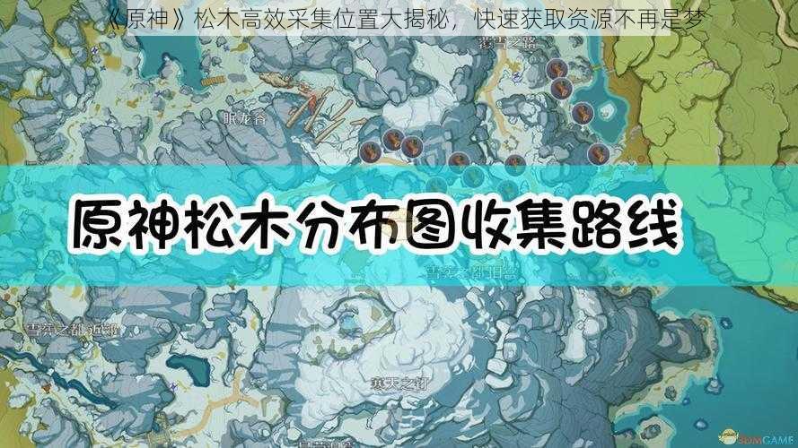 《原神》松木高效采集位置大揭秘，快速获取资源不再是梦