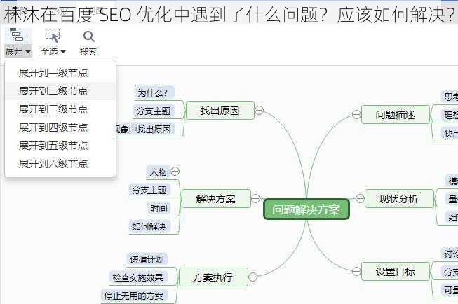 林沐在百度 SEO 优化中遇到了什么问题？应该如何解决？