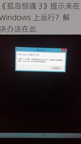 《孤岛惊魂 3》提示未在 Windows 上运行？解决办法在此