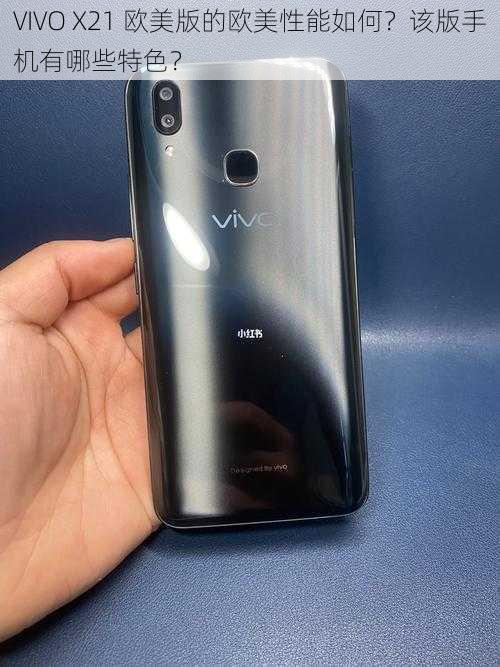 VIVO X21 欧美版的欧美性能如何？该版手机有哪些特色？