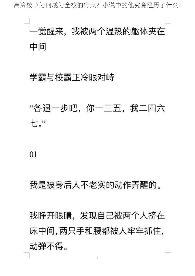 高冷校草为何成为全校的焦点？小说中的他究竟经历了什么？