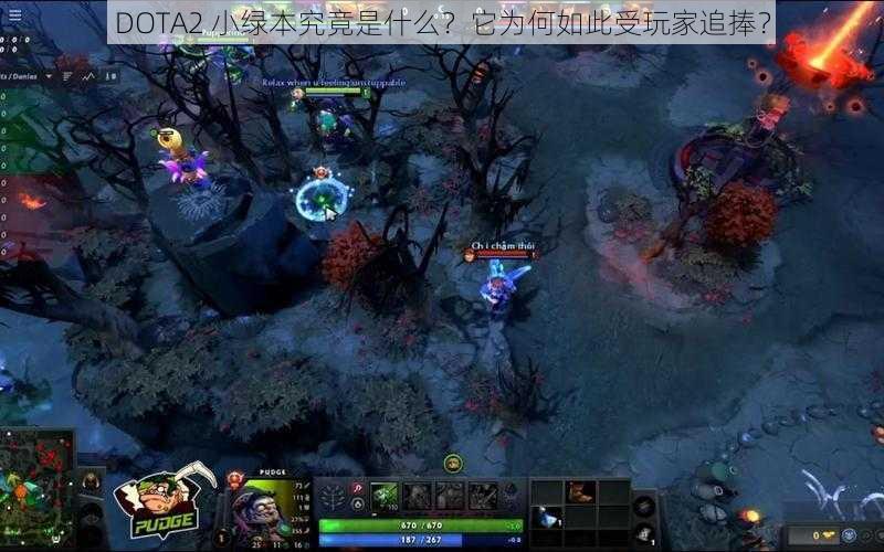 DOTA2 小绿本究竟是什么？它为何如此受玩家追捧？