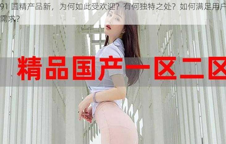 91 国精产品新，为何如此受欢迎？有何独特之处？如何满足用户需求？