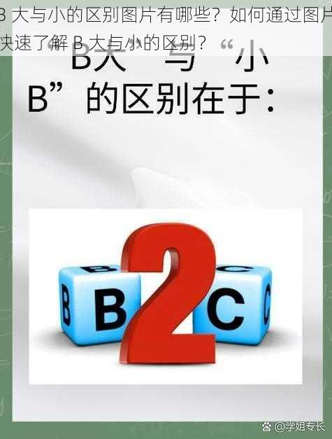 B 大与小的区别图片有哪些？如何通过图片快速了解 B 大与小的区别？