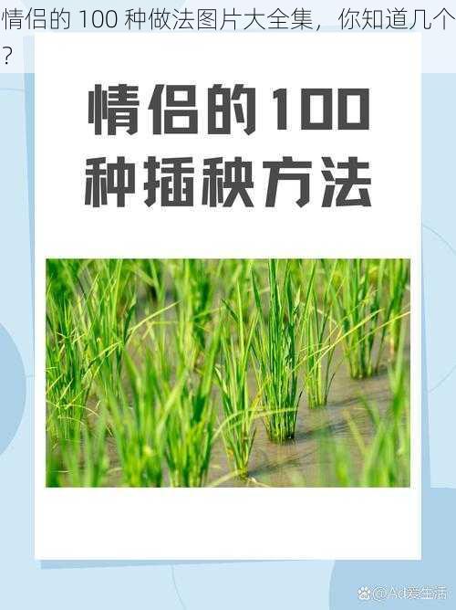 情侣的 100 种做法图片大全集，你知道几个？