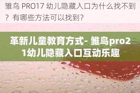 雏鸟 PRO17 幼儿隐藏入口为什么找不到？有哪些方法可以找到？