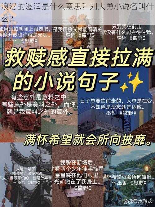 浪漫的滋润是什么意思？刘大勇小说名叫什么？