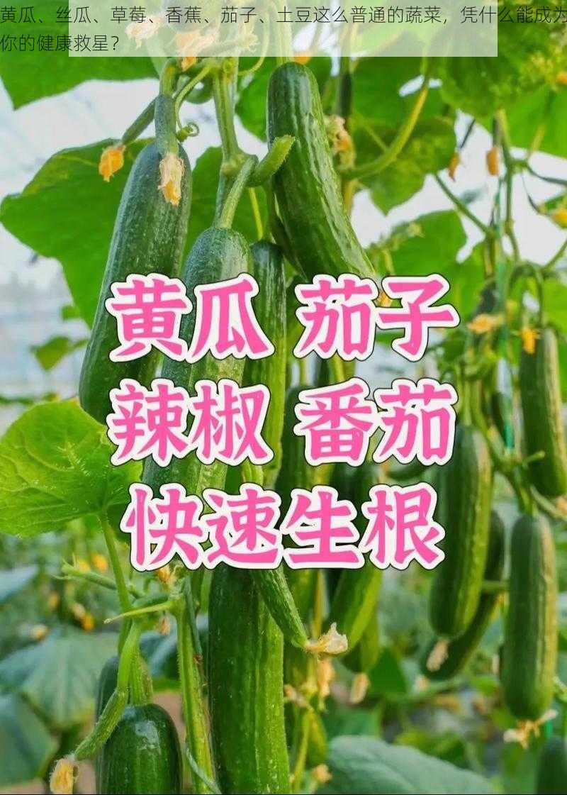 黄瓜、丝瓜、草莓、香蕉、茄子、土豆这么普通的蔬菜，凭什么能成为你的健康救星？