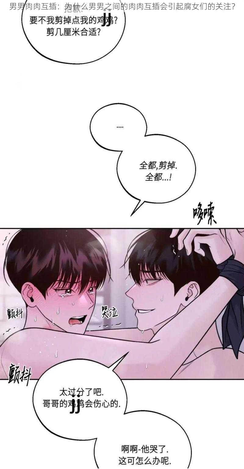 男男肉肉互插：为什么男男之间的肉肉互插会引起腐女们的关注？