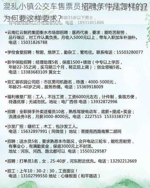 混乱小镇公交车售票员招聘条件是怎样的？为何要这样要求？