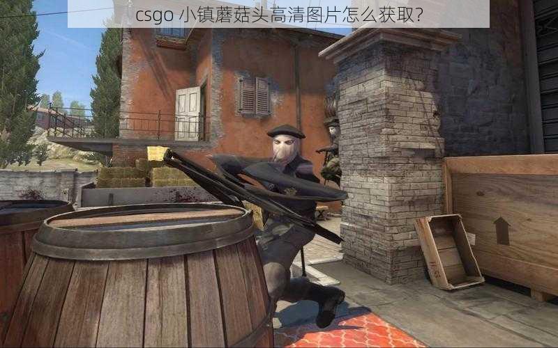 csgo 小镇蘑菇头高清图片怎么获取？