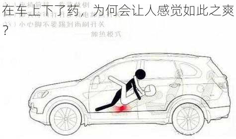 在车上下了药,为何会让人感觉如此之爽?