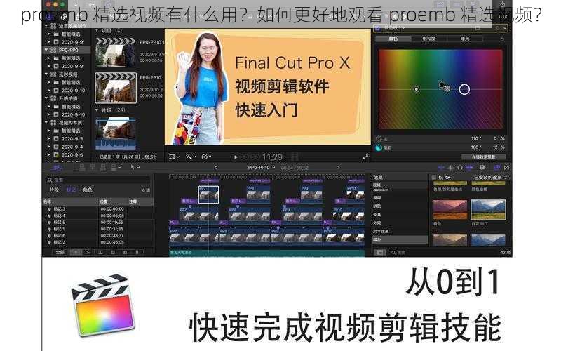 proumb 精选视频有什么用？如何更好地观看 proemb 精选视频？