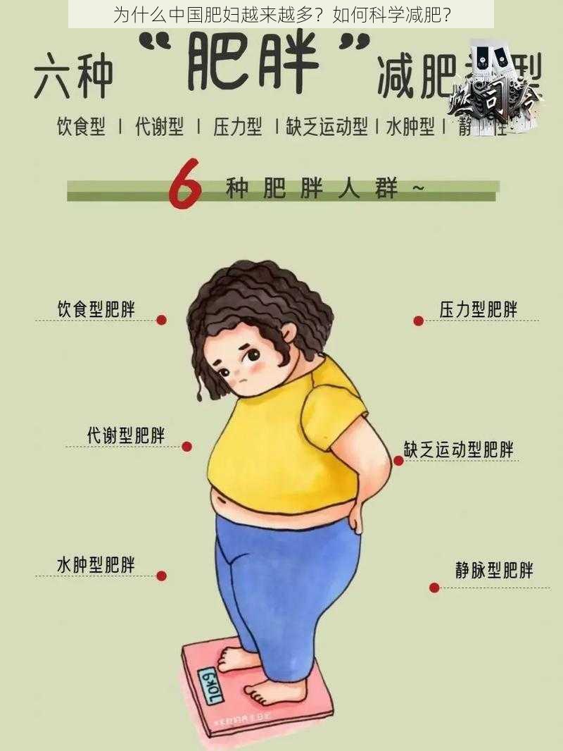 为什么中国肥妇越来越多？如何科学减肥？