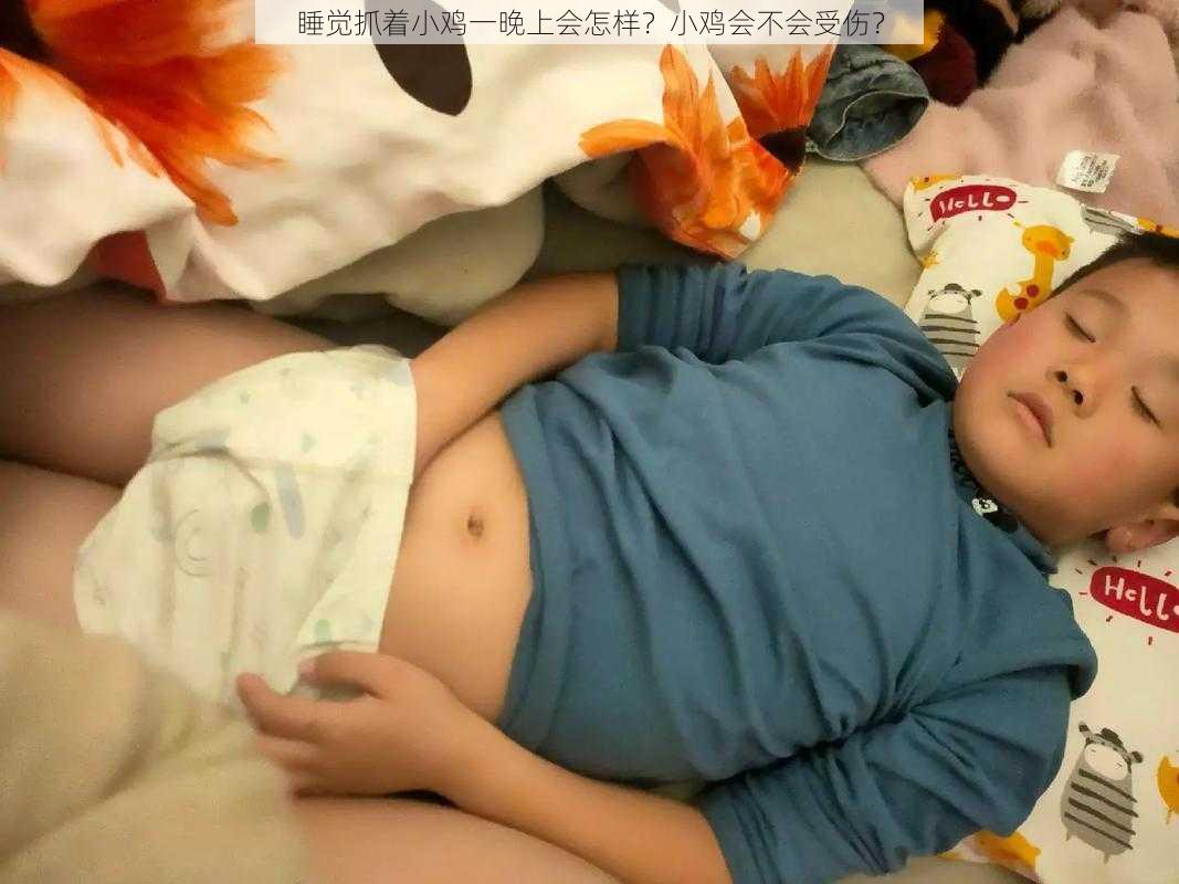 睡觉抓着小鸡一晚上会怎样？小鸡会不会受伤？