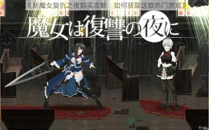 《新魔女复仇之夜购买攻略：如何获取这款热门游戏》