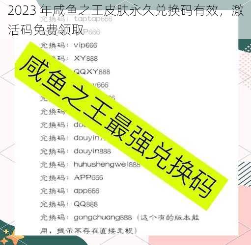 2023 年咸鱼之王皮肤永久兑换码有效，激活码免费领取