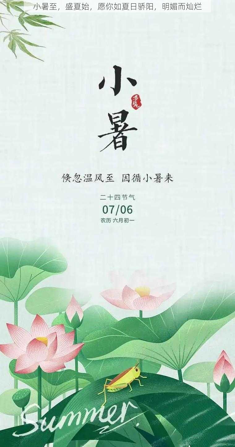 小暑至，盛夏始，愿你如夏日骄阳，明媚而灿烂