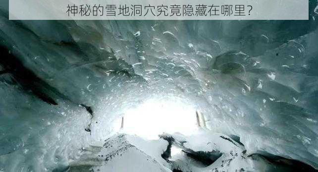 神秘的雪地洞穴究竟隐藏在哪里？