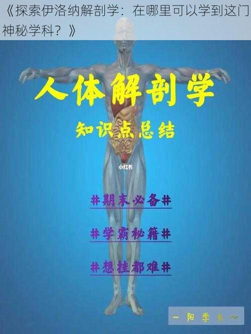 《探索伊洛纳解剖学：在哪里可以学到这门神秘学科？》