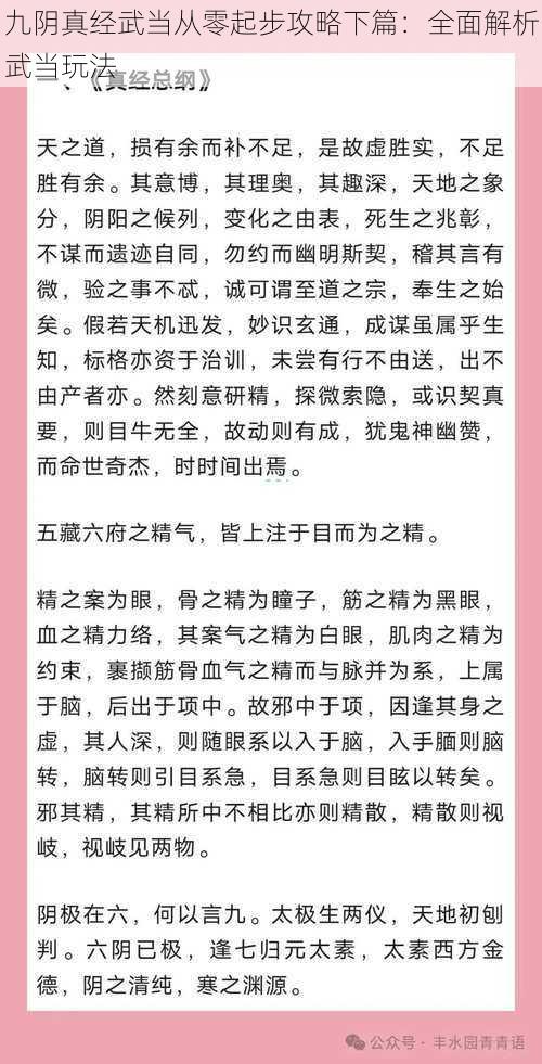 九阴真经武当从零起步攻略下篇：全面解析武当玩法