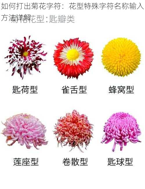 如何打出菊花字符：花型特殊字符名称输入方法详解